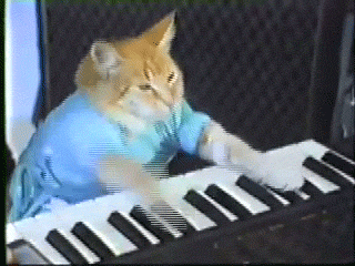 Cat piano GIFs - Get the best gif on GIFER