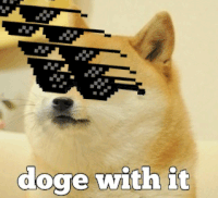 original doge meme gif