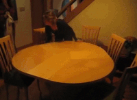 Table GIFs - Get the best gif on GIFER
