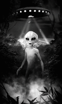 Aliens GIFs - Get the best gif on GIFER