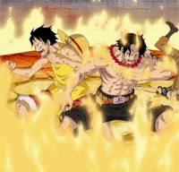 Ace Sabo Luffy Gifs Get The Best Gif On Gifer