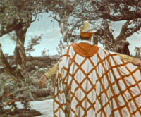 4b9ffab275ed98b73394bd499b286f61_w200.gif