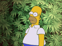 Картинки конопля анимация где купит марихуану в праге