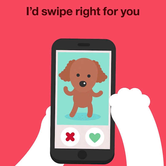dog pic, <b> Go for the guy with a dog photo on that dating app, says study </b>