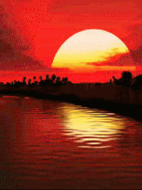 Sunset GIFs - Get the best gif on GIFER