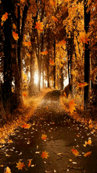 First day of fall GIFs - Get the best gif on GIFER