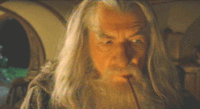 Gandalf GIFs - Get the best gif on GIFER