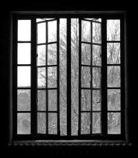 GIF Melancholy Black and white rain Window pane GIF