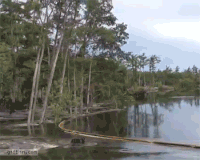 Rappel GIFs - Get the best gif on GIFER
