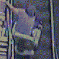 Liveleak GIFs - Get the best gif on GIFER