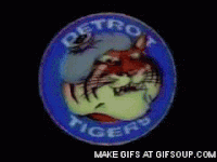 Detroit tigers GIF - Find on GIFER
