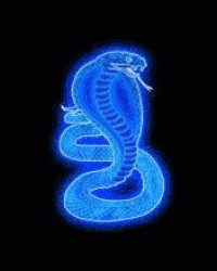 Cobra99 GIFs Get The Best Gif On GIFER