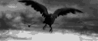 54d4726cbde08df4cb12da0b554091ff_w200.gif