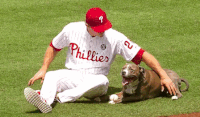 Its always sunny in philadelphia phillies chase utley GIF on GIFER - by  Bugamand