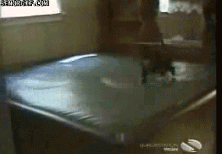 Waterbed GIFs - Get the best gif on GIFER