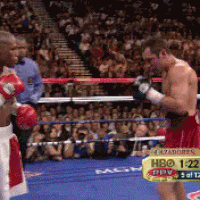 58cbdce7228274893bb550340ddaffef_w200.gif