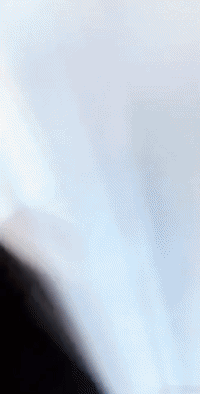 Springen GIFs - Get the best gif on GIFER