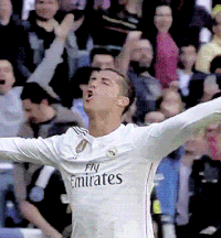 Rmcf GIFs - Get the best gif on GIFER