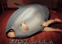 japan costume browjob gif エロコスプレ