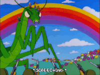 Shaolin Mantis Gifs Get The Best Gif On Gifer