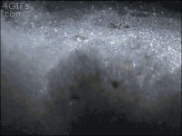 Sibling GIFs - Get the best gif on GIFER