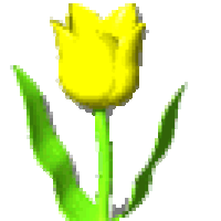 Смайлик тюльпан скопировать. Анимационные тюльпаны. Анимация распускающихся цветов. Раскрывающийся цветок. Тюльпаны анимация.