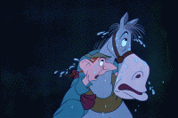 Chromodoris GIF - Conseguir el mejor gif en GIFER