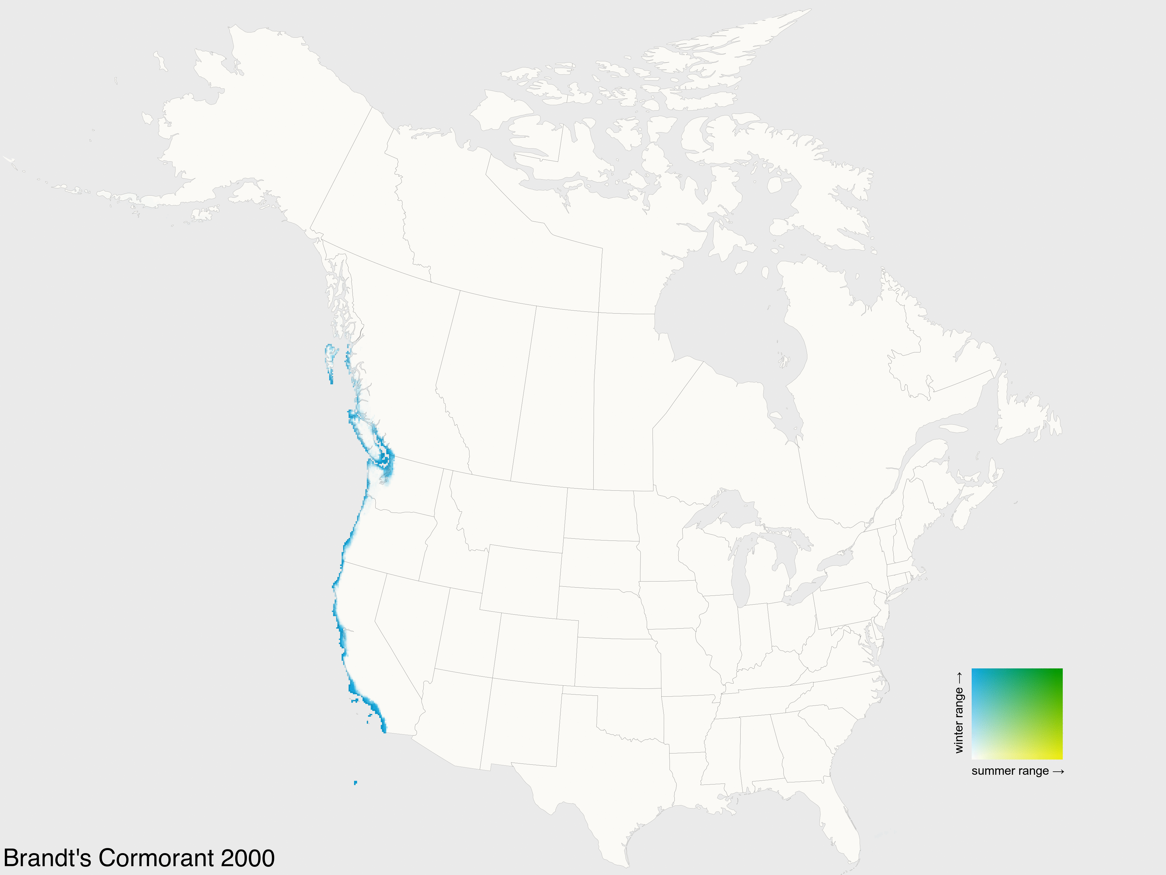 Cormorant GIFs Get the best gif on GIFER