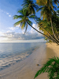 Пляж гифки, анимированные GIF изображения пляж - скачать гиф картинки на  GIFER