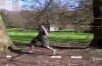 61c9213b24409bc4441dc2360dbe5596_w200.gif