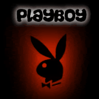 playboys-gifs-get-the-best-gif-on-gifer