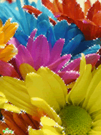 Гифки Цветы Флора GIF
