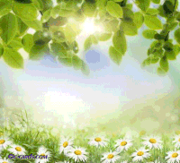 Anime in Spring - Free animated GIF - PicMix