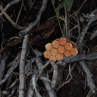 Vulcan GIFs - Get the best gif on GIFER