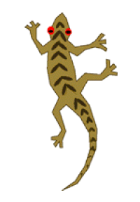 Lizard GIFs - Get the best gif on GIFER