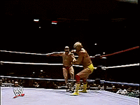 Wwf-hakeem GIFs - Get the best GIF on GIPHY