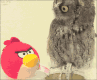 Psychologie GIFs - Get the best gif on GIFER