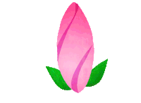 Transparent flowers GIFs - Get the best gif on GIFER