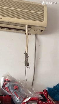 Youre disgusting GIF - Conseguir el mejor gif en GIFER