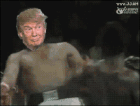 6a87c7e1bf1bba561d9a043dd7ca8427_w200.gif