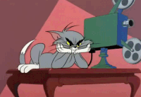 Tom the cat GIFs - Get the best gif on GIFER