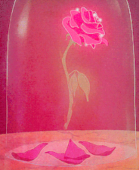 Beauty And The Beast Rose Gif Belle + The Enchanted Rose
