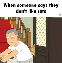 Nooooo Gifs Get The Best Gif On Gifer