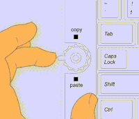 Copy paste GIFs - Get the best gif on GIFER