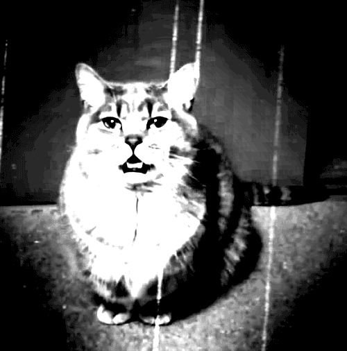 How to turn a youtube video into vintage footage GIF Conseguir o