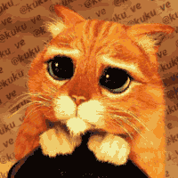 cat chat katze animal shrek movie film gif anime animated animation tube,  cat , chat , katze , animal , shrek , movie , film , gif , anime , animated  , animation , tube - Free animated GIF - PicMix