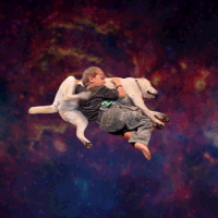 Interconnectedness GIFs - Get the best gif on GIFER
