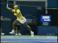 Tennis GIFs - Get the best gif on GIFER