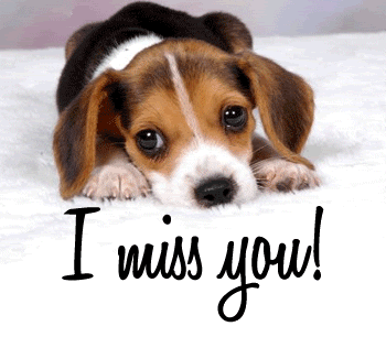 Miss you GIFs - Get the best gif on GIFER