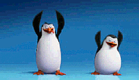 GIFs The penguin GIF